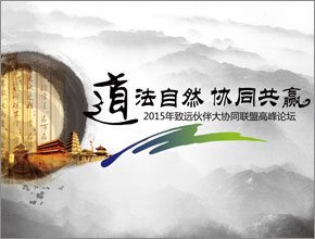 2015年伙伴大會