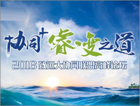 2016年伙伴大會