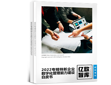 2022專精特新企業(yè)數(shù)字化管理能力建設(shè)白皮書